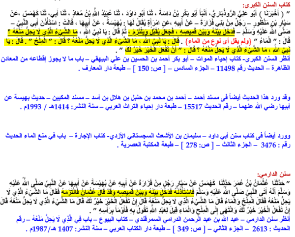 Was Muhammad a bisexual ref 7