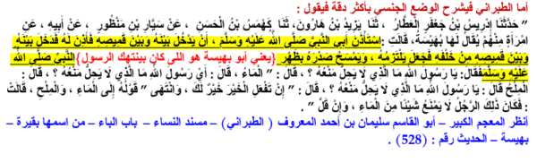 Was Muhammad a bisexual ref 8